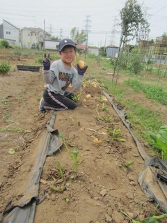 いも