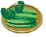 kyuuri