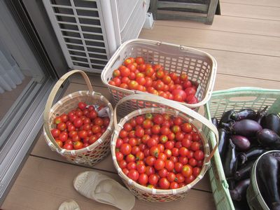 tomato